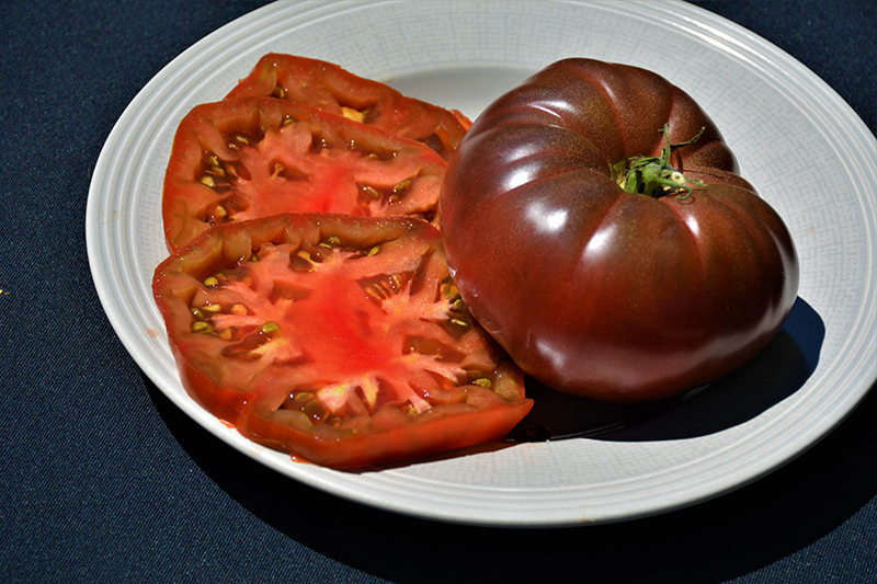 Cherokee Purple Tomato (Solanum lycopersicum 'Cherokee Purple') at Country Basket Garden Centre