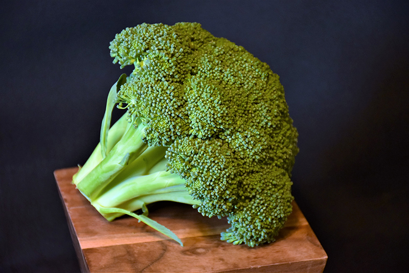 Green Magic Broccoli (Brassica oleracea var. italica 'Green Magic') at Country Basket Garden Centre